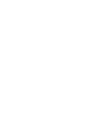 SEBIS